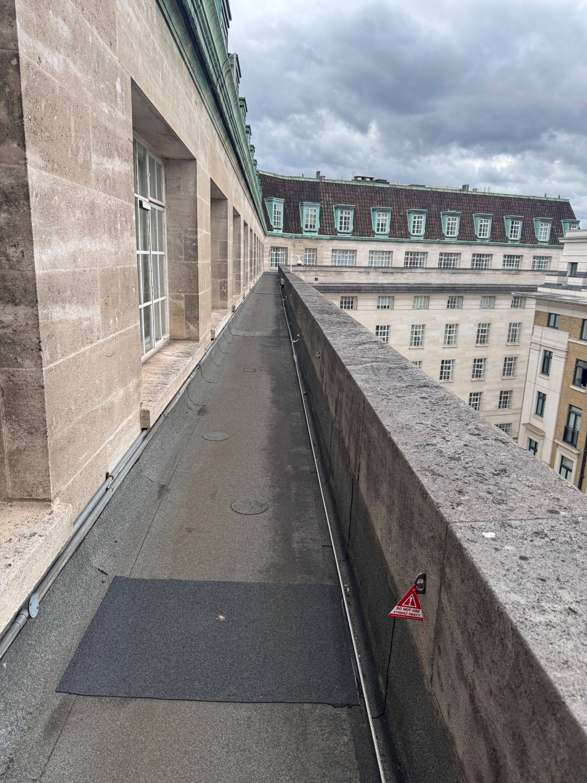 AAA rope technician in safety gear installing a fixed ladder, cladding, and Mansafe system on a building, with bird control measures visible.