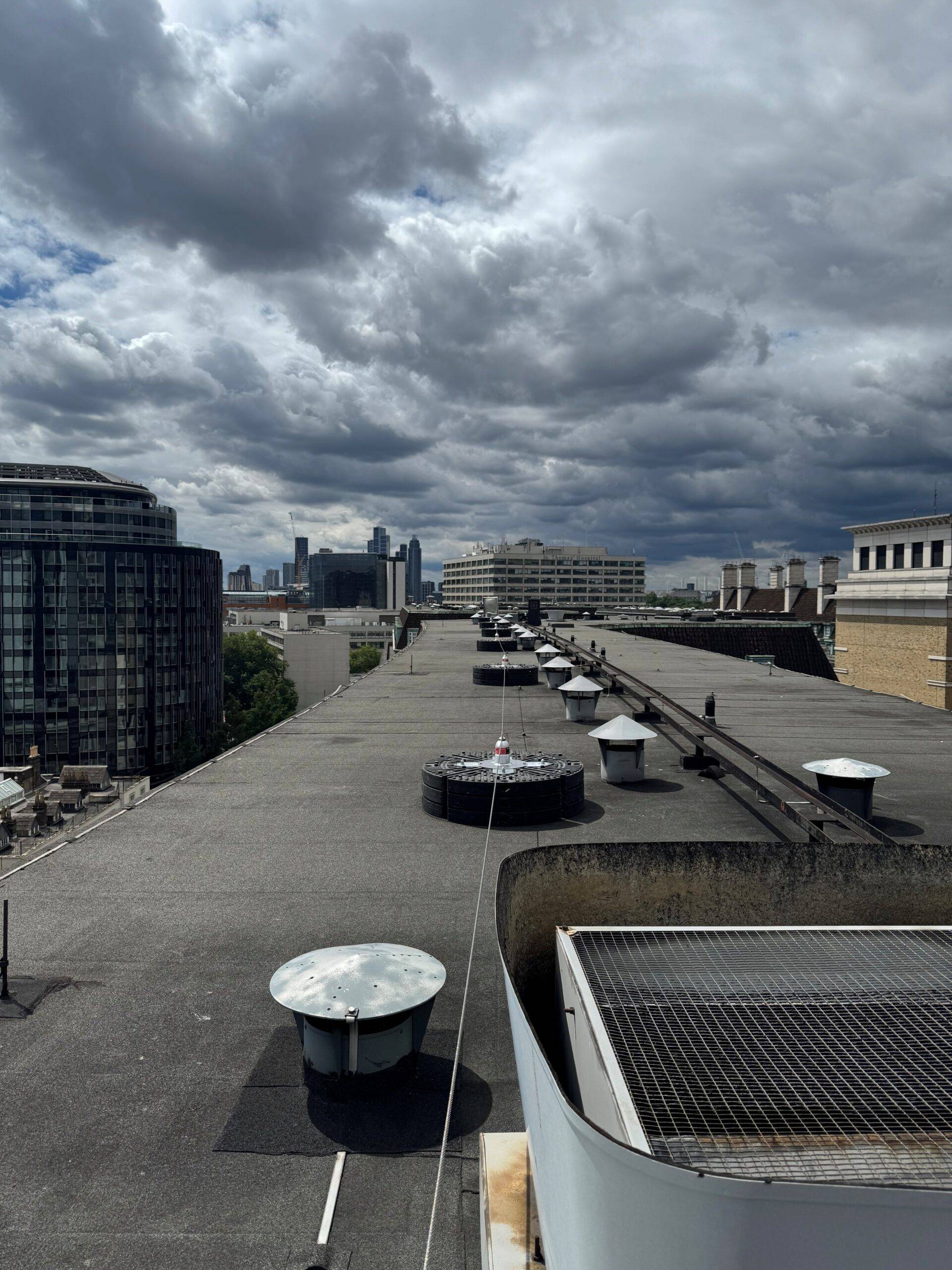 AAA rope technician in safety gear installing a fixed ladder, cladding, and Mansafe system on a building, with bird control measures visible.