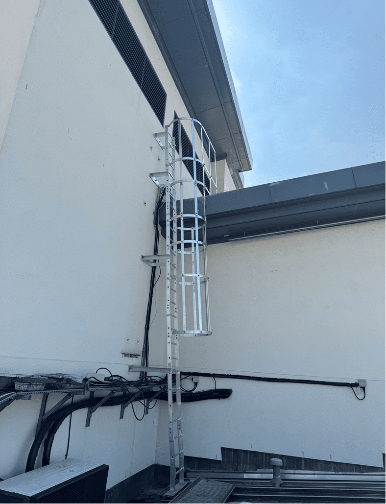 AAA rope technician in safety gear installing a fixed ladder, cladding, and Mansafe system on a building, with bird control measures visible.
