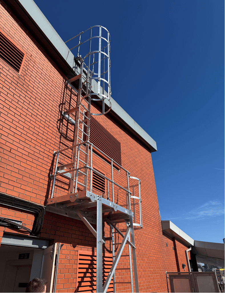 AAA rope technician in safety gear installing a fixed ladder, cladding, and Mansafe system on a building, with bird control measures visible.